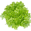<p>Салат айсберг</p>
