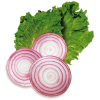 <p>Свіжа ріпчаста цибуля</p>