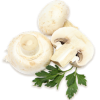 <p>Печериці</p>